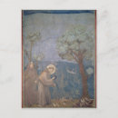 Search for giotto postcards Saint