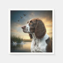 Search for springer spaniel Pet