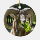 Search for ram christmas tree decorations Nature