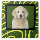 Search for photo frame tiles Pattern