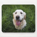 Search for golden retriever mousepads Animals