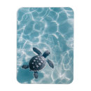 Search for turtled magnets Sea turtle