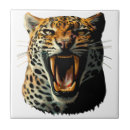 Search for animal jaguar tiles Wildlife