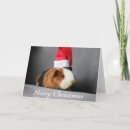 Search for pig christmas cards Pet