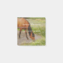Search for horse post it notes Nature
