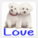 Search for bichon frise stickers Puppies