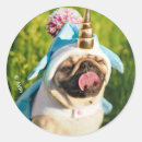 Search for cute funny pugs stickers Humor