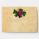 Search for grapevine cards invites Vineyard