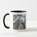 Search for wild side mugs Outdoors