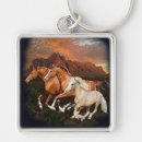 Search for arizona key rings New mexico
