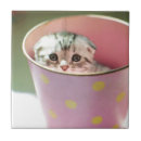 Search for hiding tiles Kitten