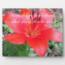 Search for poetic Flower