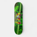 Search for cute frog skateboards Green