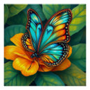 Search for colorful art Butterfly