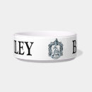 Search for slytherin gifts Snake