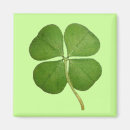 Search for lucky charm magnets Shamrock