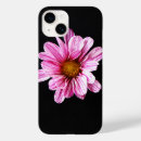 Search for chrysanthemum flowers iphone cases Pink