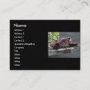 Search for beavers business cards Cute