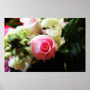 Search for single flower posters Rose