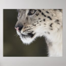 Search for wild side posters Horizontal