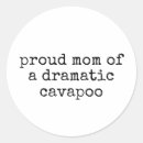 Search for cavapoo stickers Cavoodle