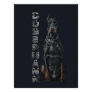 Search for dobermans art Dobermann
