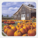 Search for vermont usa stickers Fall