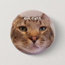 Search for veterinary accessories Kitten