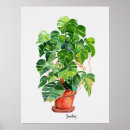 Search for pot posters Green