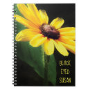 Search for black eyed susan Yellow