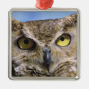 Search for oregon christmas tree decorations Bend