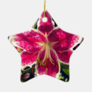 Search for lily christmas tree decorations Botanical
