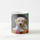 Search for golden doodle mugs Puppy