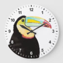 Search for toucan clocks Colourful