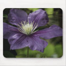 Search for clematis mousepads Flower