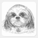 Search for shih tzu stickers Canine