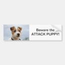 Search for terrier bumper stickers Dog