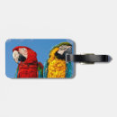 Search for macaw travel accessories Birds