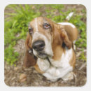 Search for full body stickers Vertical