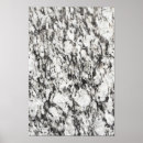 Search for white rock posters Granite
