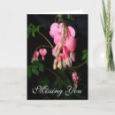 Search for flower miss you cards Flowers