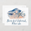 Search for florida seashells postcards Vacation