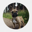 Search for french bulldog decor Cute dog