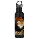 Search for red panda water bottles Wildlife