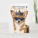 Search for funny chihuahua birthday cards Pets