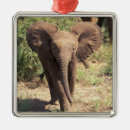 Search for kenya christmas tree decorations Baby