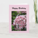 Search for mountain laurel flower postcards Pink
