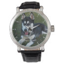 Search for husky watches Cute