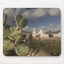 Search for cactus mousepads Tucson