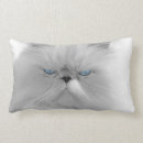 Search for grumpy cat cushions Cute
